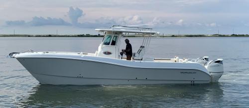 World Cat 320CC fiche technique et avis